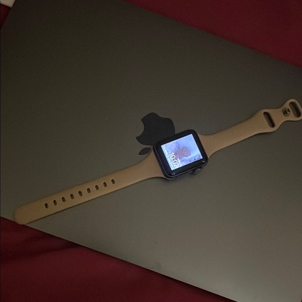 Apple Watch Series 3 with 3 bands + charger